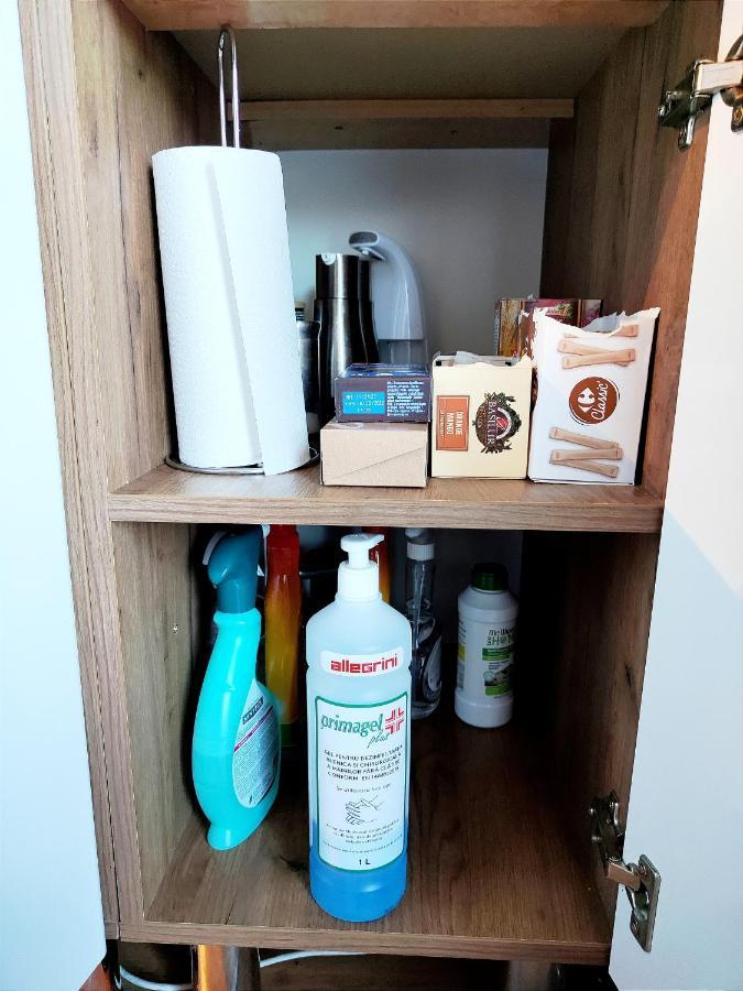 Casa De Vis Apartman Brassó Kültér fotó