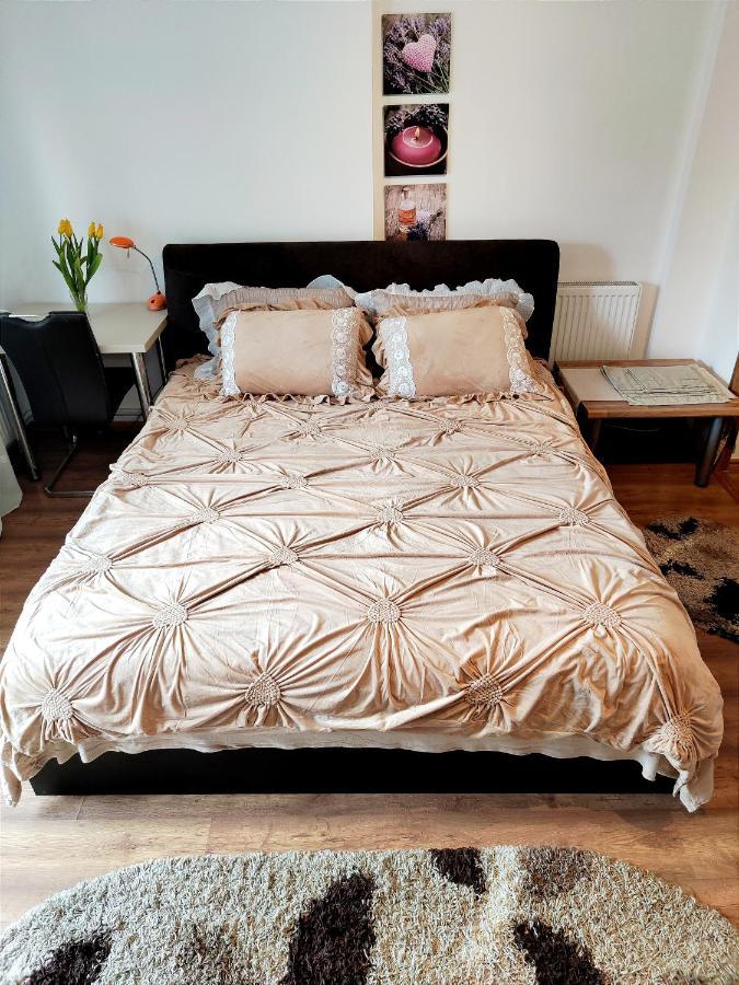 Casa De Vis Apartman Brassó Kültér fotó
