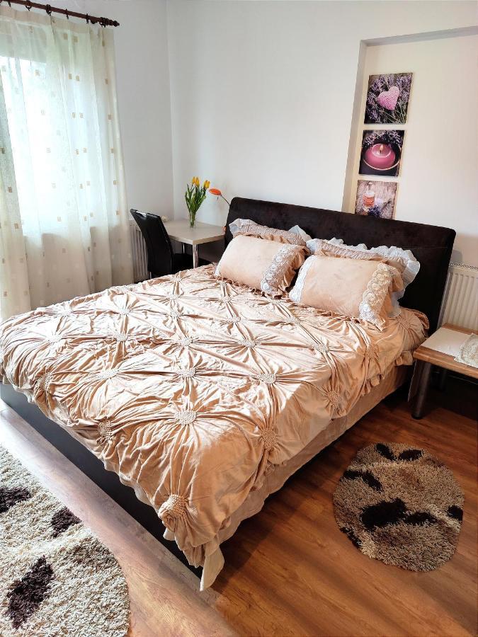 Casa De Vis Apartman Brassó Kültér fotó