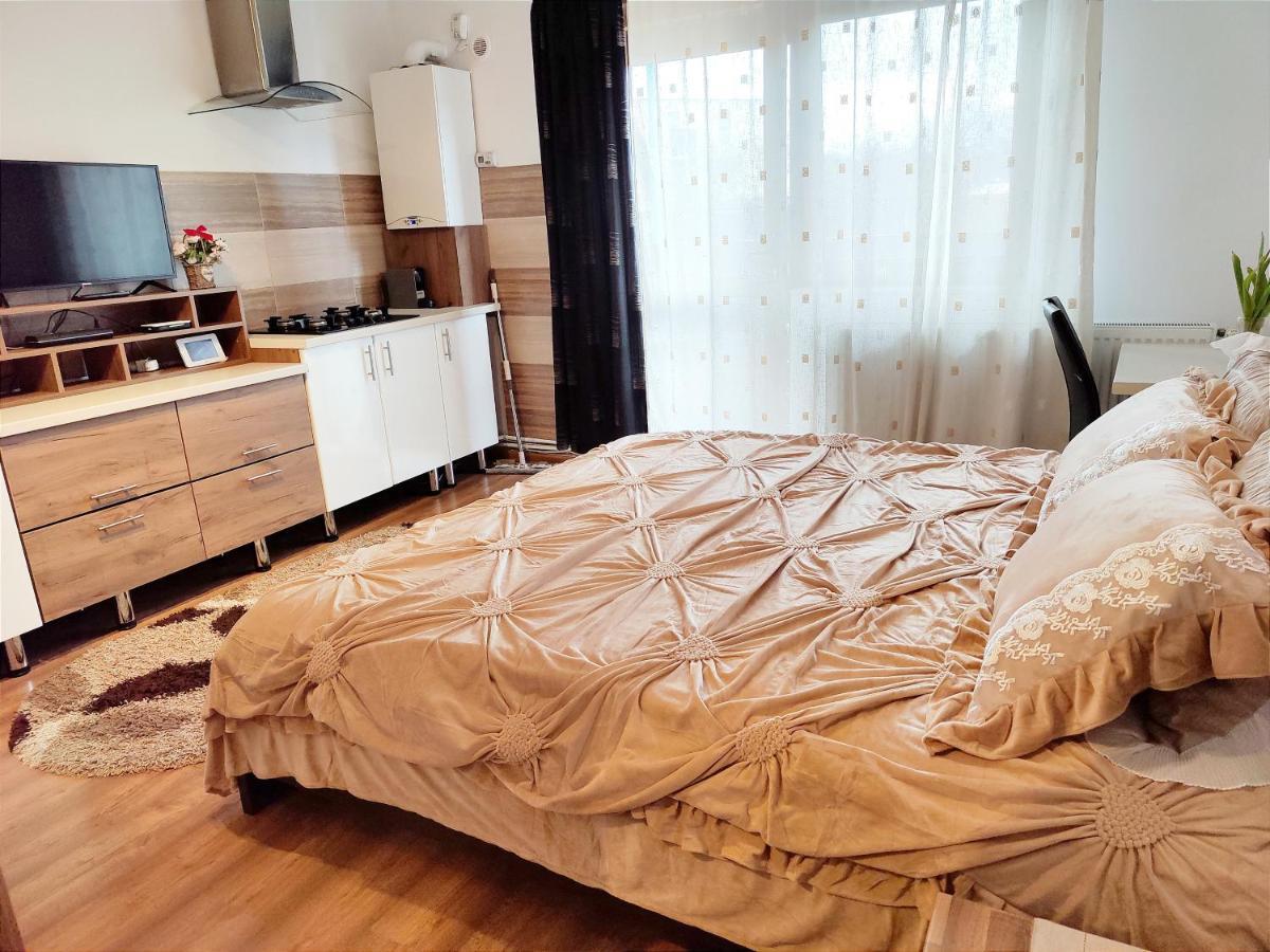 Casa De Vis Apartman Brassó Kültér fotó